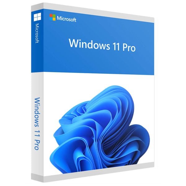 Microsoft Windows 11 Professional